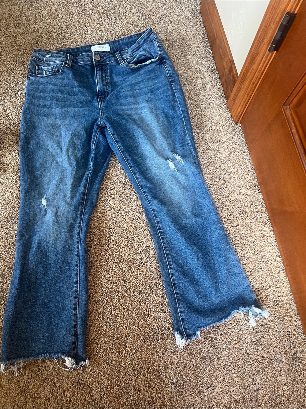 Everlane Blue Cropped Distressed Straight Jeans